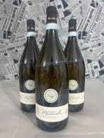 2024 Masciarelli “Trebbiano d’Abruzzo” - Abruzzo DOC - 3, Nieuw