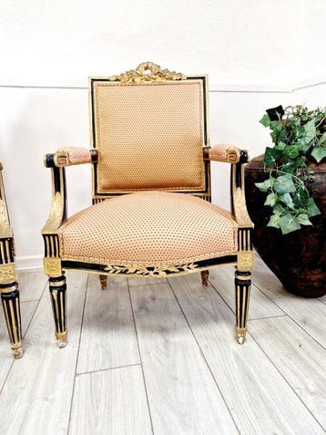 Fauteuil (2) - Bois - Fauteuils Napoléon III