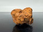 XXL SERICHO Meteorite Grande pièce avec des olivines - 132 g