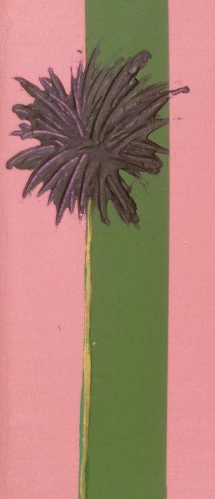 Terenzio Lana - palme di cioccolato