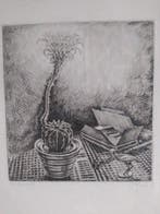 Carlos Spiegler (XX) - Flor de cactus