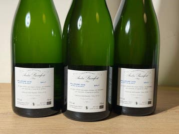 2018 André Beaufort, André Beaufort - Champagne Brut, Blanc, Nieuw