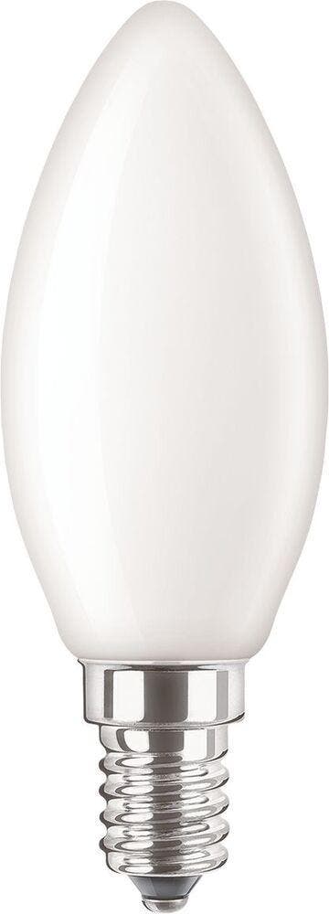 Philips CorePro LED-lamp - 34718200, Bricolage & Construction, Éclairage de chantier, Envoi