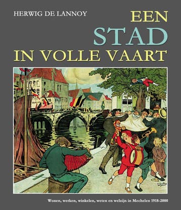 Een stad in volle vaart 9789463883719 Herwig De Lannoy, Livres, Verzenden, Herwig De Lannoy