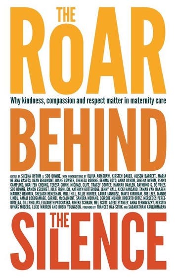 The Roar Behind the Silence 9781780661803 Sheena Byrom, Verzenden, Sheena Byrom