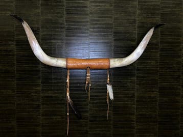 Hoorns Taxidermie Opgezette Dieren By Max, Ophalen of Verzenden, Nieuw, Wild dier, Opgezet dier