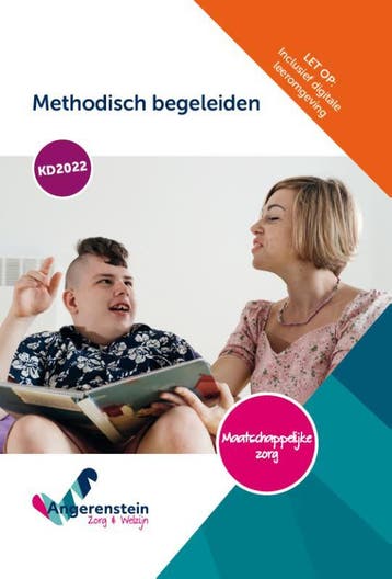 Methodisch begeleiden combipakket 9789037262605, Verzenden, Zo goed als nieuw