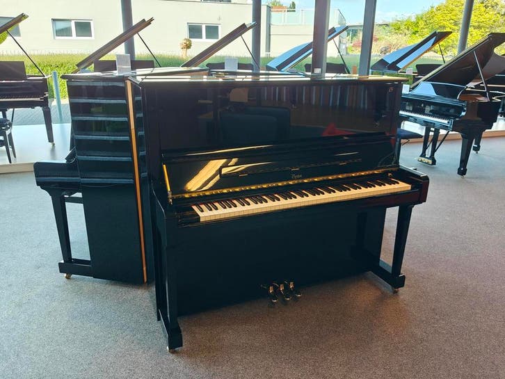 Boston UP132 (2018), Musique & Instruments, Pianos, Envoi