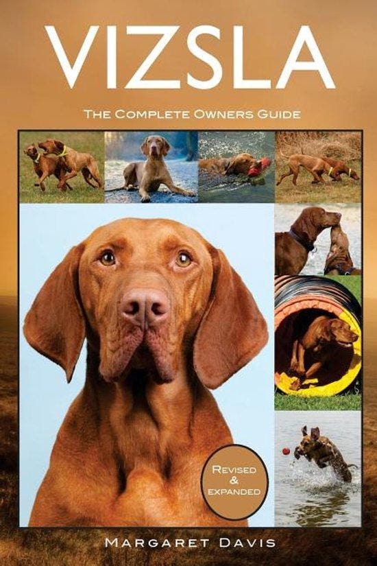 Vizsla 9781910915127 Margaret Davis, Boeken, Taal | Engels, Gelezen, Verzenden