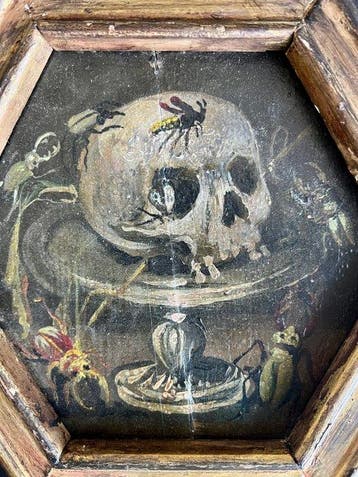 Vanité crâne aux insectes – Mémento Mori - XVIIIème (1), Antiquités & Art