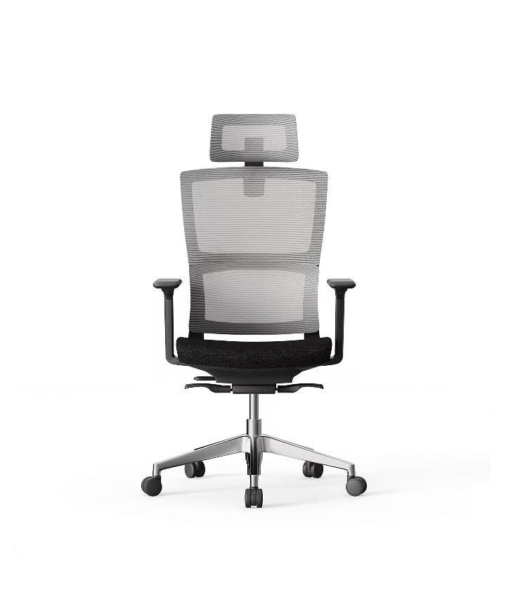 FLEXISPOT Ergonomische bureaustoel BS2 -  met S-vormig ontwe, Maison & Meubles, Chaises de bureau, Envoi