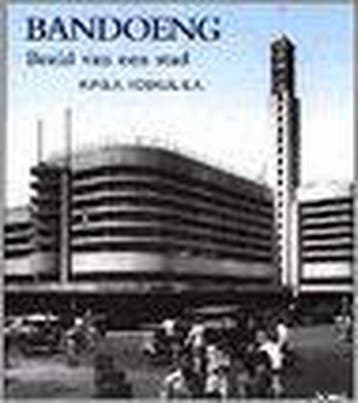 Bandoeng 9789074861052 R.P.G.A. Voskuil, Boeken, Verzenden, Zo goed als nieuw, R.P.G.A. Voskuil