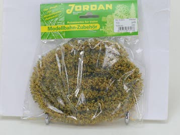 Jordan 13A Hecke,Gelb, ca 100cm (Bomen en struiken), Ophalen of Verzenden, Nieuw