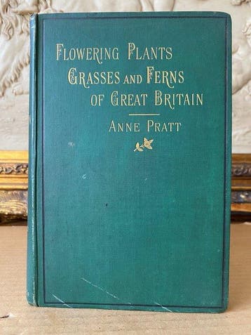 Anne Pratt - The Flowering Plants [ 82 coloured plates]