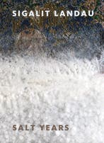 Sigalit Landau: Salt Years 9783775746236 Amitai Mendelsohn, Verzenden, Amitai Mendelsohn