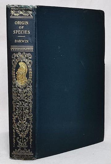 Charles Darwin - The Origin of Species - 1900