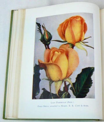Courtney Page [ed.] - The Rose Annual - 1928-1947