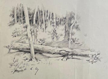 Louise Abbéma (1853-1927). - La forêt. Paysage avec Arbres