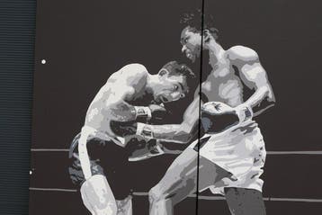 Fleur Josephine (1987) - Boxing