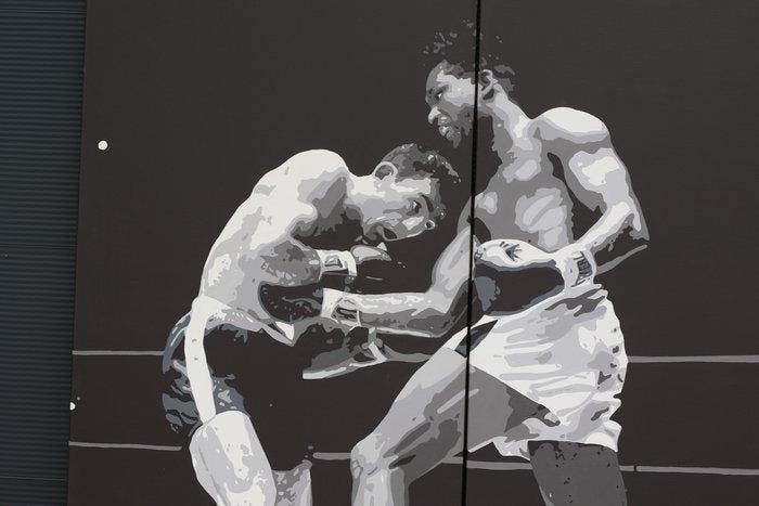 Fleur Josephine (1987) - Boxing, Antiek en Kunst, Kunst | Schilderijen | Klassiek