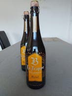 La Trappe - Blond 2025 Speciale Editie - 75cl - 3 flessen, Nieuw