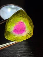 Tourmaline) ZELDZAAM! Meesterstukken! Prachtige