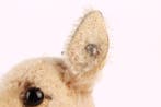 Steiff - Teddybeer Vintage Steiff Mohair & Velvet Standing