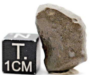 Maanmeteoriet Touat 008 Lunar Troctolietische