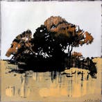 Aleix Albareda - Xiu Noranta cinc