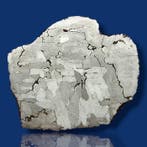 -Adembenemende Schijf- METEORIET Campo del Cielo, Verzamelen, Mineralen en Fossielen