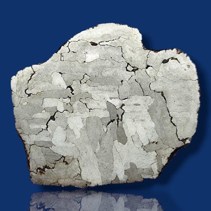 -Adembenemende Schijf- METEORIET Campo del Cielo, Verzamelen, Mineralen en Fossielen