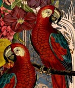 Kleury.art - The Baroque Parrots” by Kleury.art (1/5)