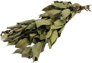 Laurier Laurierblad Groen Droogbloemen 80 cm, Nieuw
