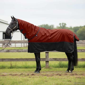 vidaXL Paardendeken Bordeaux en zwart 145 cm Polyester, Dieren en Toebehoren, Verzenden, Nieuw