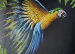 monicart - Libertà in volo