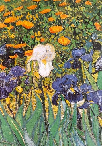 Vincent van Gogh (1853-1890) (after) - Irises, 1889 -, Antiek en Kunst