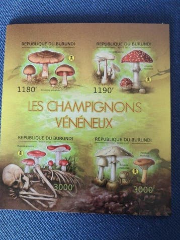 België - Verzameling van Burundi, serie en S/S S/S MNH** -, Gestempeld