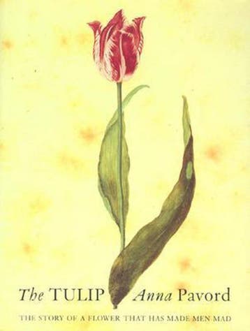 The Tulip 9781582340135 Anna Pavord, Boeken, Verzenden, Zo goed als nieuw, Anna Pavord