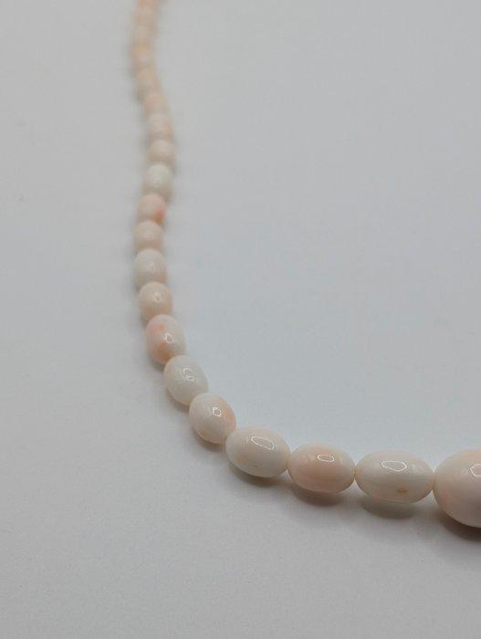 Koraal - geen afsluiting - Halsketting, Collections, Minéraux & Fossiles