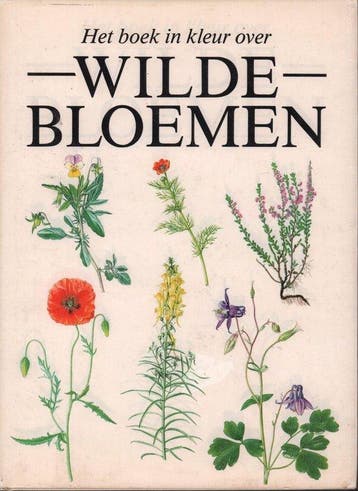 WILDE BLOEMEN - Pamela, Verzenden, Nieuw