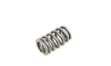 Valve spring HEMI 6.1 SRT-8 intake, Ophalen of Verzenden, Nieuw