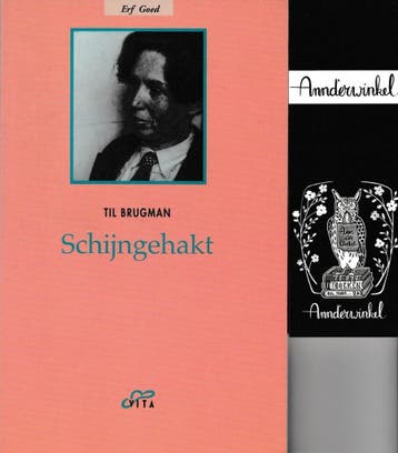 SCHIJNGEHAKT 9789050711579 T. Brugman, Verzenden, Gelezen, T. Brugman