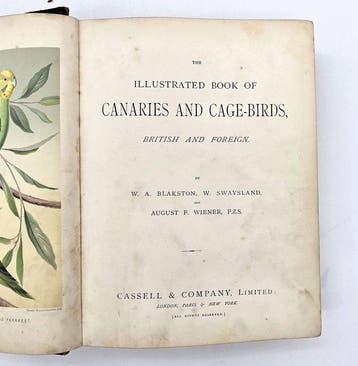 Blakston - The Illustrated Book of Canaries and Cage-Birds -