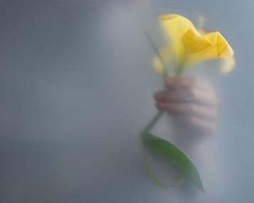 Elizaveta Kalinina - Silhouette with yellow lilium - self
