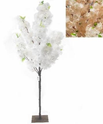 Bloesemboompje Champagne Zijdenbloem 150 cm
