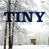 Tiny houses 9780847832033 Mimi Zeiger, Verzenden, Gelezen, Mimi Zeiger