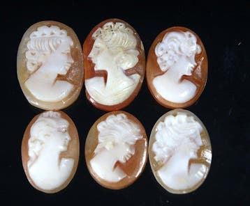 Geen reserveprijs - Ct. 25.30 Schelpencameos - Collectie