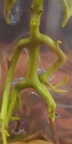 Nobel collection Warner Bros Harry Potter - Speelgoed