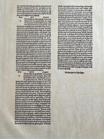 Albrecht Dürer (1471-1528), after - Woodcut - Apocalypsis