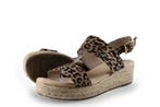 Dolcis Sandalen in maat 39 Overig, Kleding | Dames, Dolcis, Overige kleuren, Verzenden, Sandalen of Muiltjes